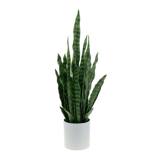 Floristik24 Sansevieria kunstig i potte H62cm