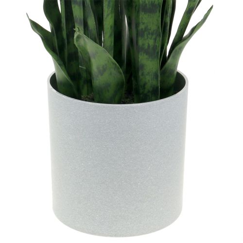 Floristik24 Sansevieria kunstig i potte H62cm