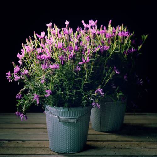 Floristik24 Sinkbøtte Flettet mønster Grå Vasket Ø20cm H19cm