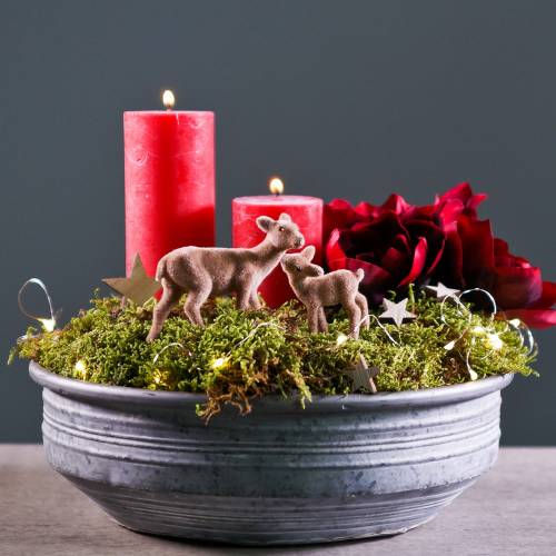 Floristik24 Sinkskål Ø31,5cm H10cm