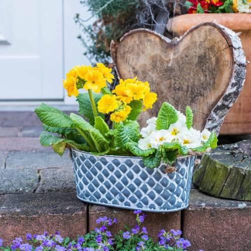 Floristik24 Sinkskål diamant med tauhåndtak oval 32cm H15cm