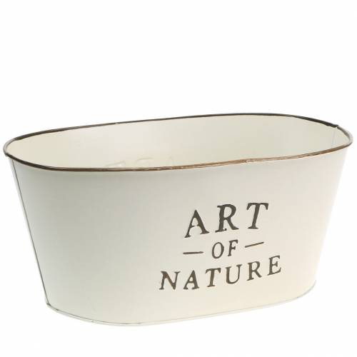 Floristik24 Blomsterskål oval sinkkrem 27×18cm H12,5cm