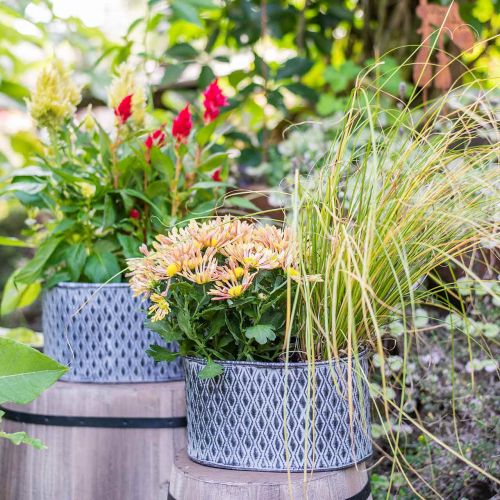 Floristik24 Sinkpanne med diamantmønster ovalt 23cm x 15cm / 21,5cm x 14cm 2stk