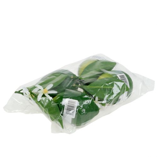 Floristik24 Sitroner med blomst 9,5cm grønn 4stk