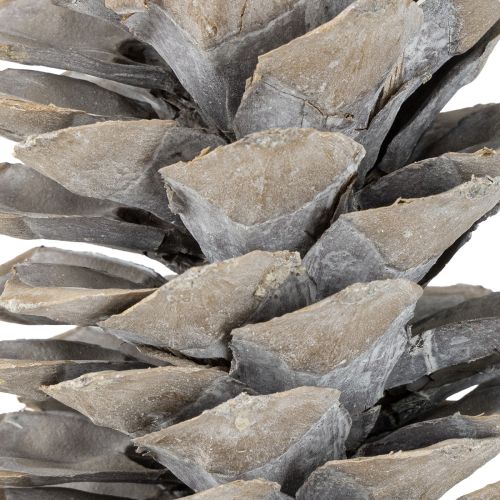 gjenstander Hvitkalkede sukkerkongler 20 cm - 30 cm