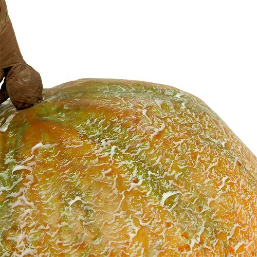 Floristik24 Dekorativ melon cantaloupe Ø14cm