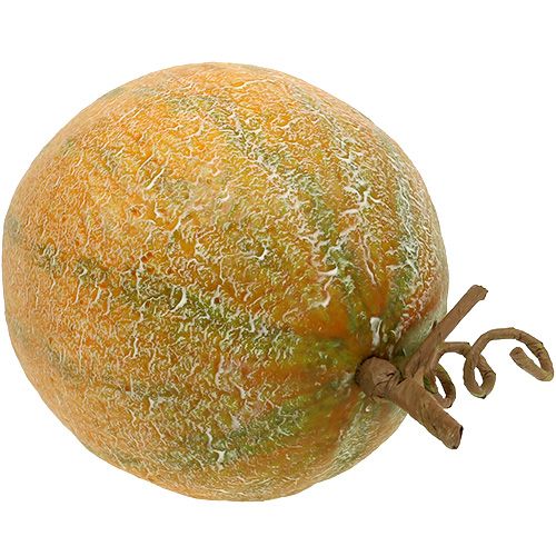 Floristik24 Dekorativ melon cantaloupe Ø14cm