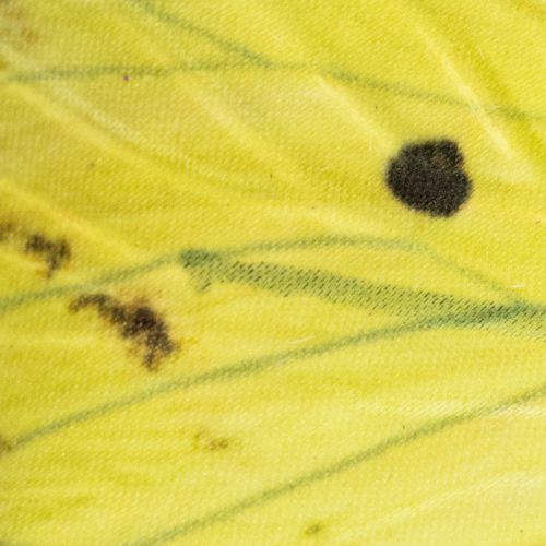 gjenstander Sommerfuglgren, kunstnerisk vårdekorasjon for innendørs bruk, 75 cm