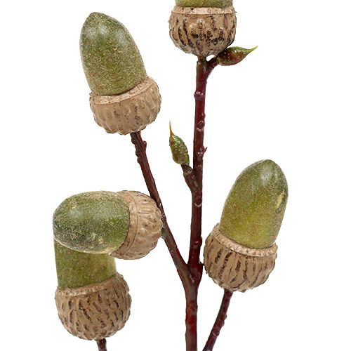 Floristik24 Gren med ekorn brun, grønn L30cm