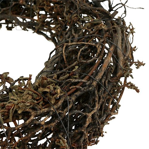 Floristik24 Grenkrans Ø25cm 2stk. Natur