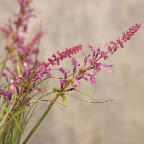 gjenstander Dekorativt grøntområde med delikate blomster for stilig romdesign 67 cm