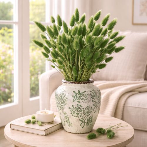 gjenstander Tørket Lagurus (Harehalegress) 65–70 cm 100 g