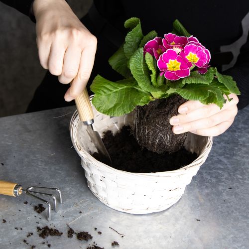 gjenstander Kurvdekorasjon for allsidig interiørdesign, 20 cm, 8 deler