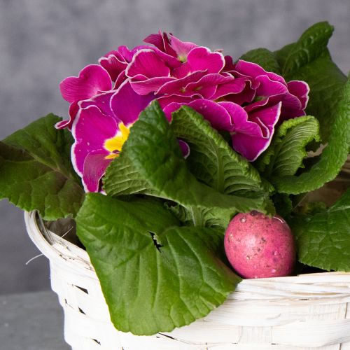 gjenstander Kurvdekorasjon for allsidig interiørdesign, 20 cm, 8 deler