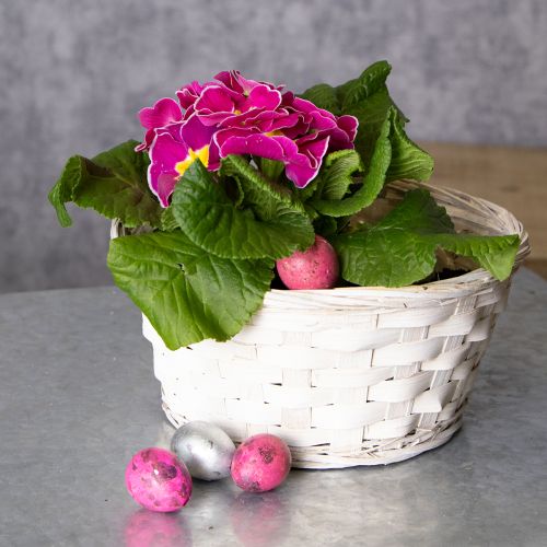 gjenstander Kurvdekorasjon for allsidig interiørdesign, 20 cm, 8 deler