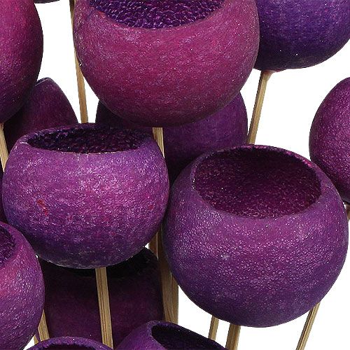 Floristik24 Bell Cup Mix på pinne Erika 15 stk