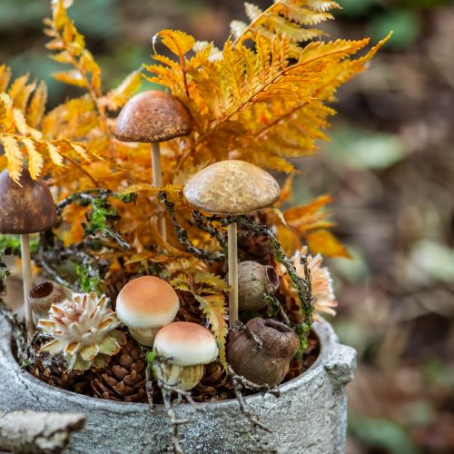 gjenstander Bellgum bell frukt kapsel frukt naturlig dekorasjon brun 500g