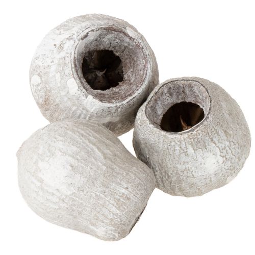 gjenstander Hvitkalkede bellgums 2 cm - 5 cm 500 g