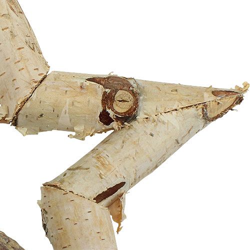 Floristik24 Bjørkestjerne å henge 22cm