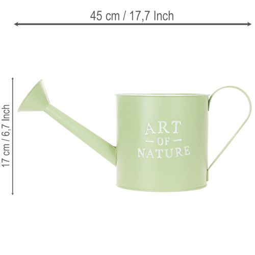 Blomsterpotte, dekorativ vannkanne, mintgrønn sinkplantekasse, Ø16,5 cm | Floristik24.no