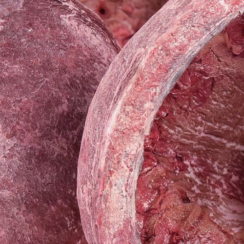 Floristik24 Buddha Nøtt Rød Hvit Tørket Naturlig Dekor Ø5,5–9,5cm 5 stk