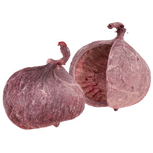 Floristik24 Buddha Nøtt Rød Hvit Tørket Naturlig Dekor Ø5,5–9,5cm 5 stk