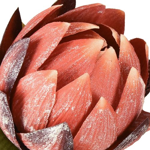 gjenstander Dekorative Protea kunstige kunstige blomster rød-oransje 34 cm 3 stk