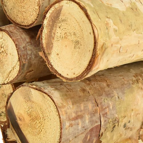 Floristik24 Dekorative bjørkegreiner, naturlige bjørkegreiner, 30 cm, 6 stk