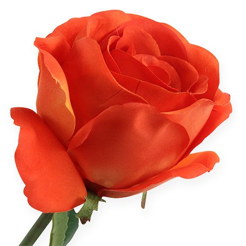 gjenstander Dekorative roser oransje 32cm 6stk