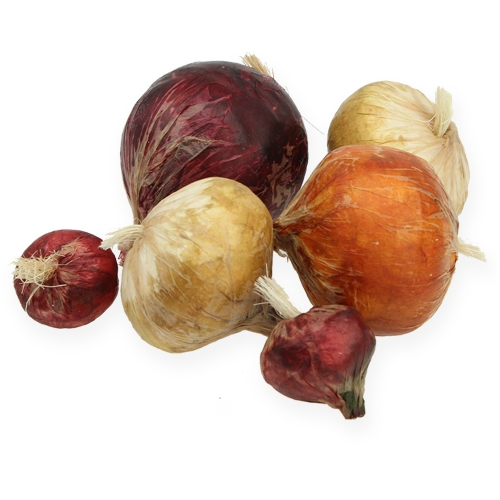 Floristik24 Løk stor og liten kunstig 14stk.