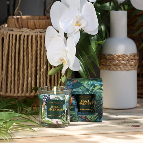 Floristik24 Duftlys i glassbeholder Agurk-eukalyptuslys Grønt Ø7cm