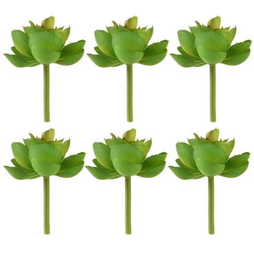 gjenstander Echeveria kunstige sukkulenter Grønn Ø7cm 6 stk