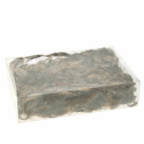Floristik24 Naturlige fjær 4,5 - 9 cm 20g
