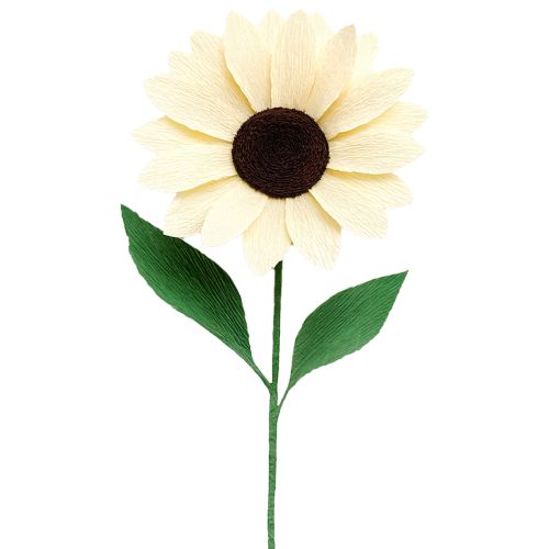 gjenstander Blomsterhandler kreppapir blomsterhandler krep champagne 50×250 cm 5 stk