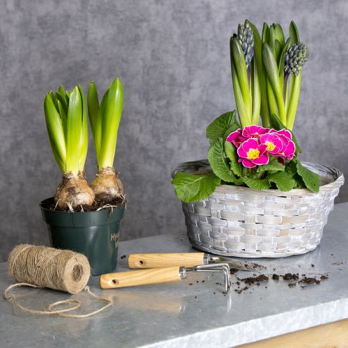 gjenstander Vevd kurv som en stilig blomsterdekorasjon til stuen. Påskekurv, 23 cm, 6 deler.