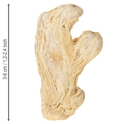 gjenstander Tørket ingefærdekorasjon naturlig dekorasjon 500g