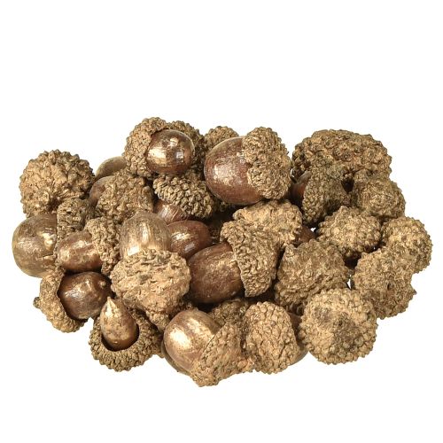 Floristik24 Gyldne høstfrukter, festlige høstdekorasjoner, naturlige dekorative eikenøtter, adventsdekorasjon Ø1,5 – 2,5 cm L1,5 – 3 cm 300 g