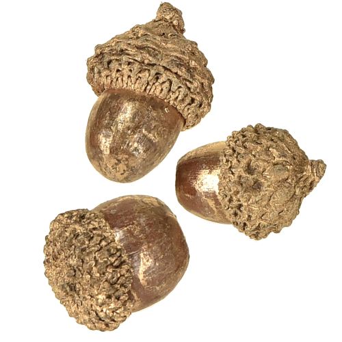 Floristik24 Gyldne høstfrukter, festlige høstdekorasjoner, naturlige dekorative eikenøtter, adventsdekorasjon Ø1,5 – 2,5 cm L1,5 – 3 cm 300 g