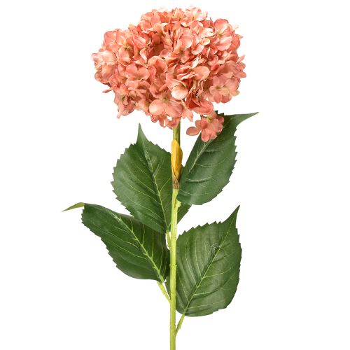 Floristik24 Hortensia Rosa 80cm 1 stk