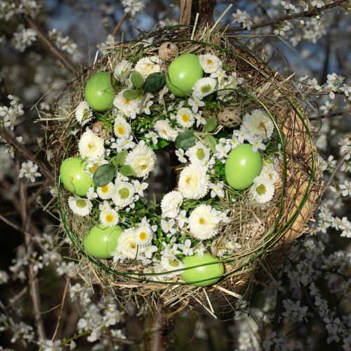 gjenstander Kyllingegg 5,5cm - 7cm grønne 10 stk