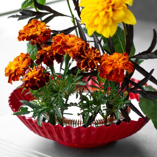 gjenstander Kreativ blomsteroppsatshjelp med messingnåler til ikebana og blomsteroppsatser