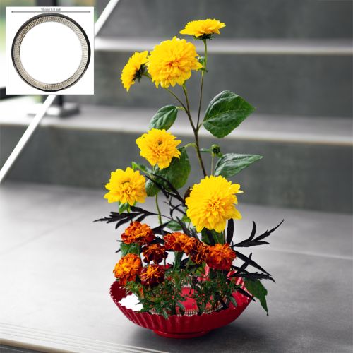 Kreativ blomsteroppsatshjelp med messingnåler til ikebana og blomsteroppsatser