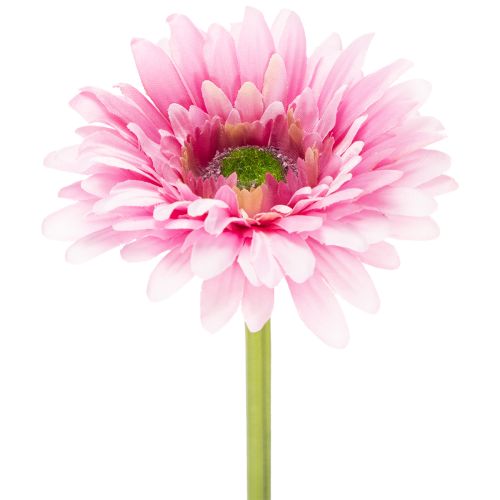 Kunstige gerberablomster til hagen, rosa, 47 cm, 6 stk. kjøpe | Floristik24.no