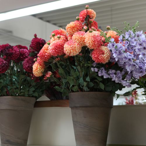 gjenstander Kunstige georginer i ferskenrosa Ø10cm L80cm 2 stk