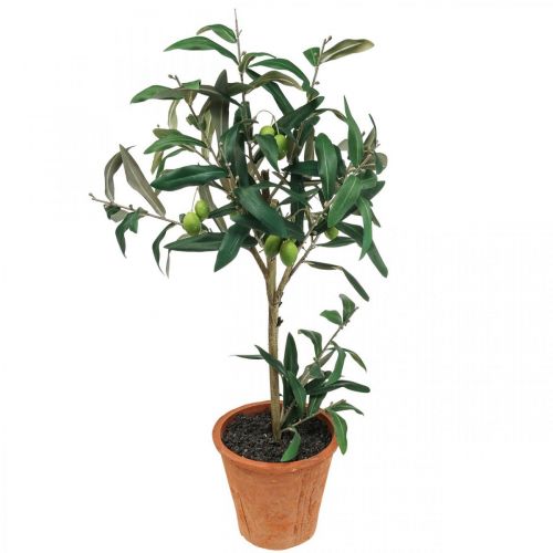 Floristik24 Kunstig oliventre i potte Kunstig plante Oliven H63,5cm