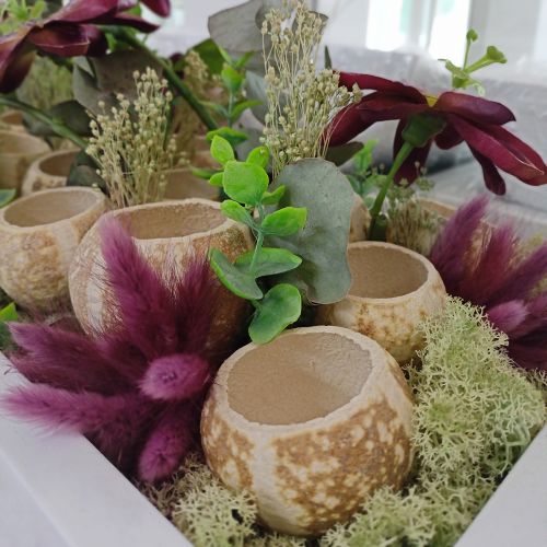 gjenstander Gresskardekor Klokkekopp Gresskarkopp bleket 50 stk