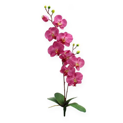Floristik24 Kunstig orkide med blader Rosa 68cm