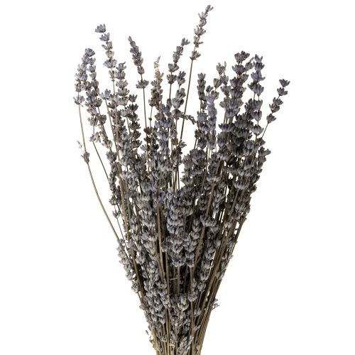 gjenstander Tørkede lavendelblomster, duftende, 35–40 cm, 50 g