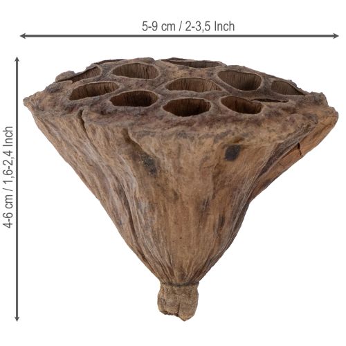 gjenstander Lotus stempel medium 100 stk naturlig