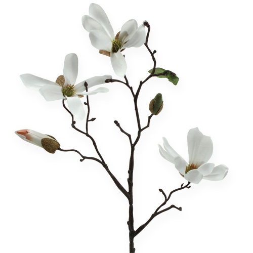 Floristik24 Dekorativ gren magnolia 40cm hvit 4stk
